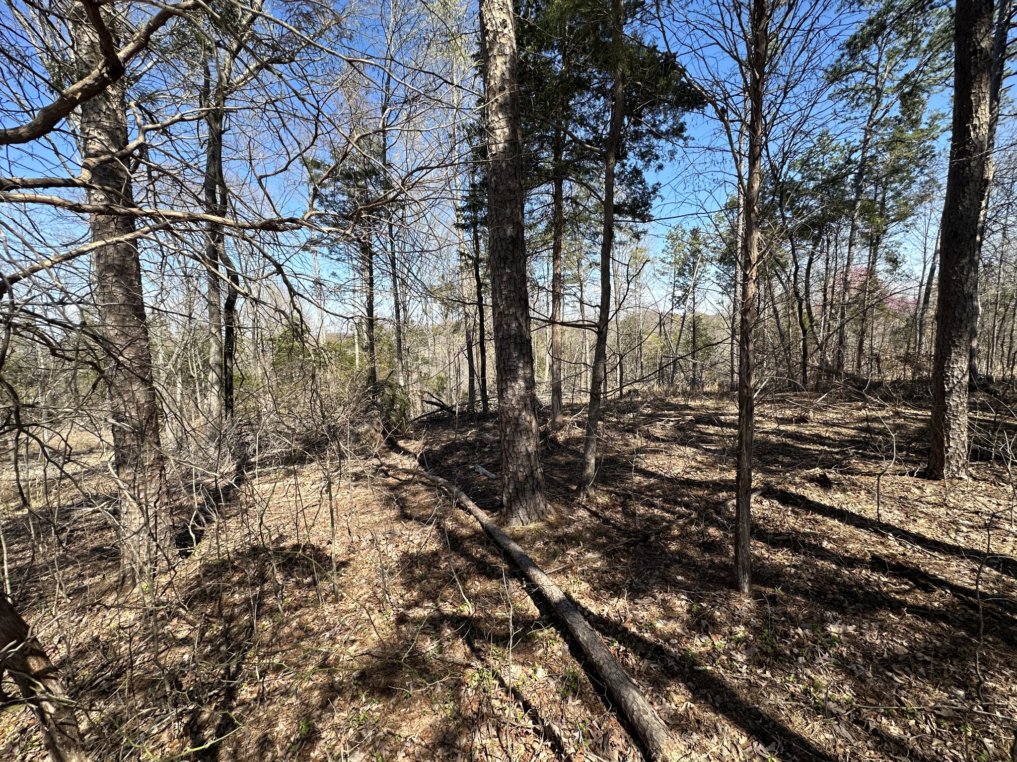 2 Buck Smith Hill Road Palmyra, TN 37142 - Photo 15 of 16 Gallery Image 15