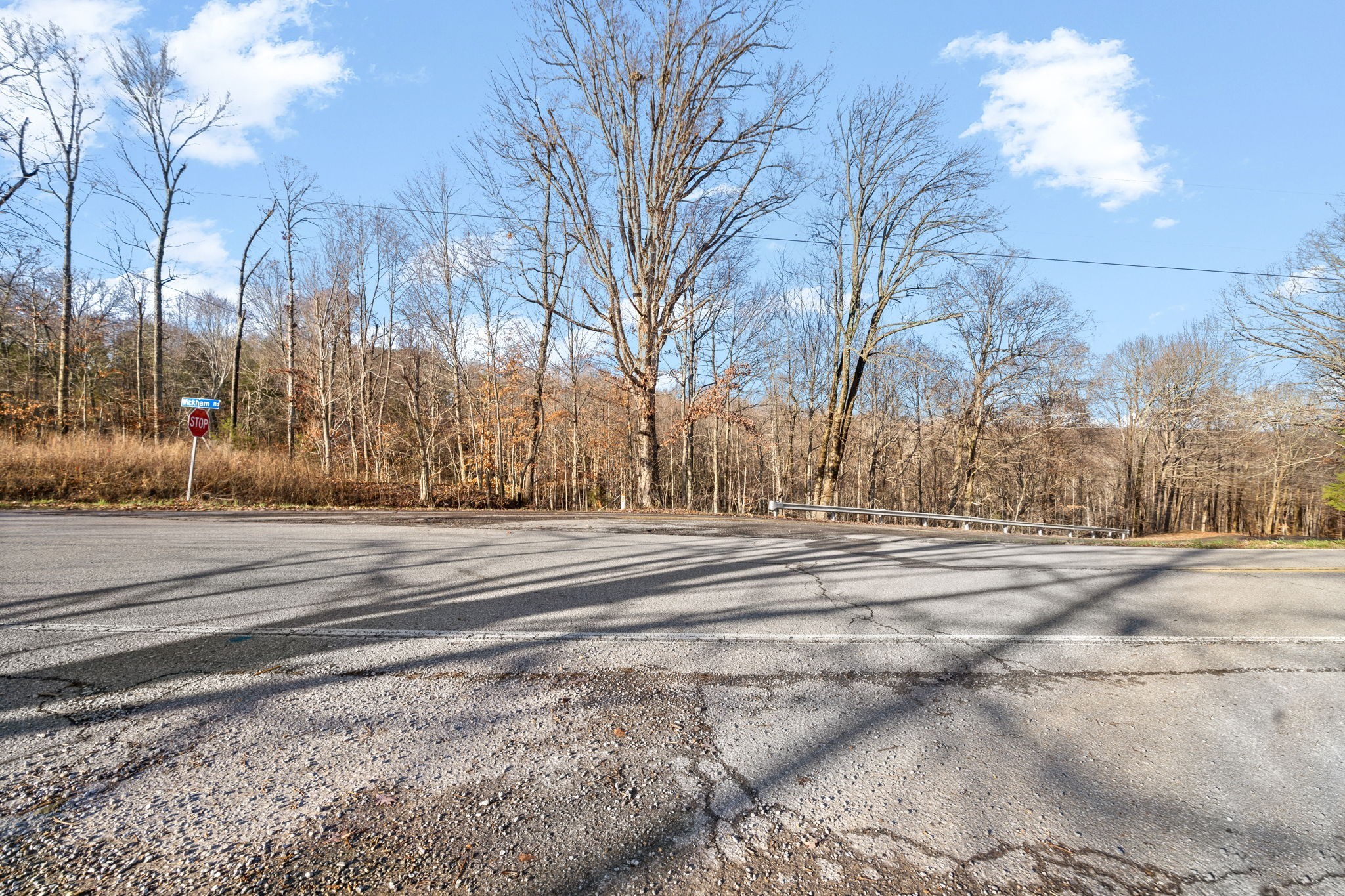2 Buck Smith Hill Road Palmyra, TN 37142 - Photo 2 of 16 Gallery Image 2