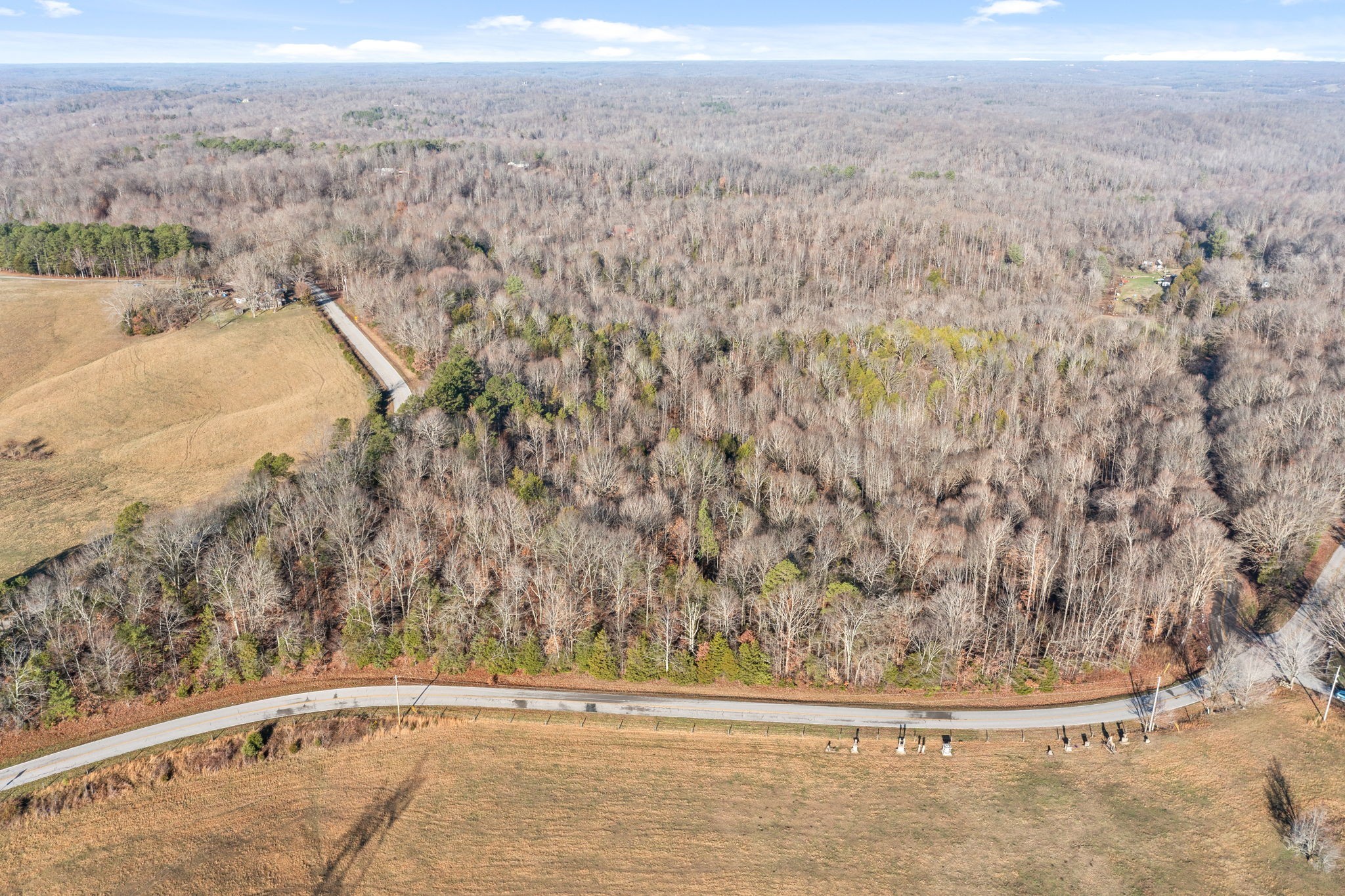 2 Buck Smith Hill Road Palmyra, TN 37142 - Photo 3 of 16 Gallery Image 3
