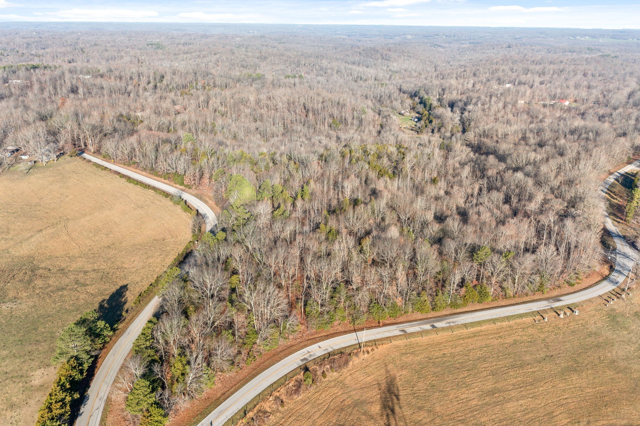2 Buck Smith Hill Road Palmyra, TN 37142 - Photo 4 of 16 Gallery Image 4