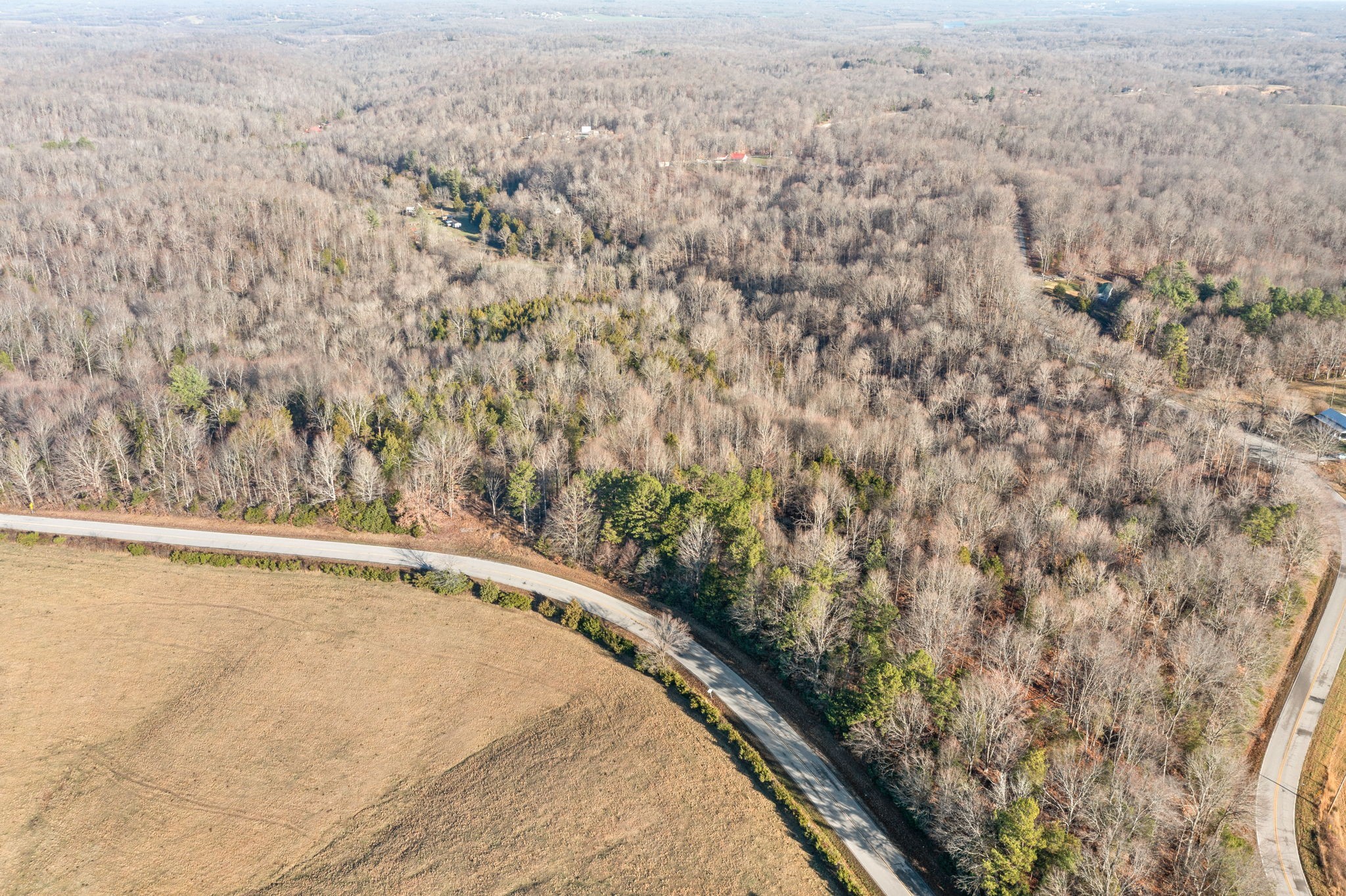 2 Buck Smith Hill Road Palmyra, TN 37142 - Photo 5 of 16 Gallery Image 5
