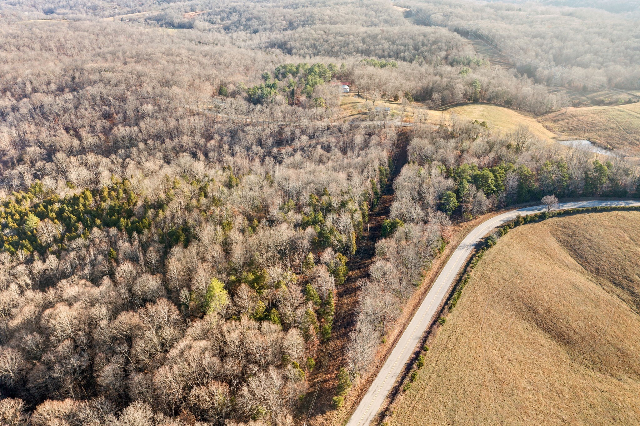 2 Buck Smith Hill Road Palmyra, TN 37142 - Photo 6 of 16 Gallery Image 6