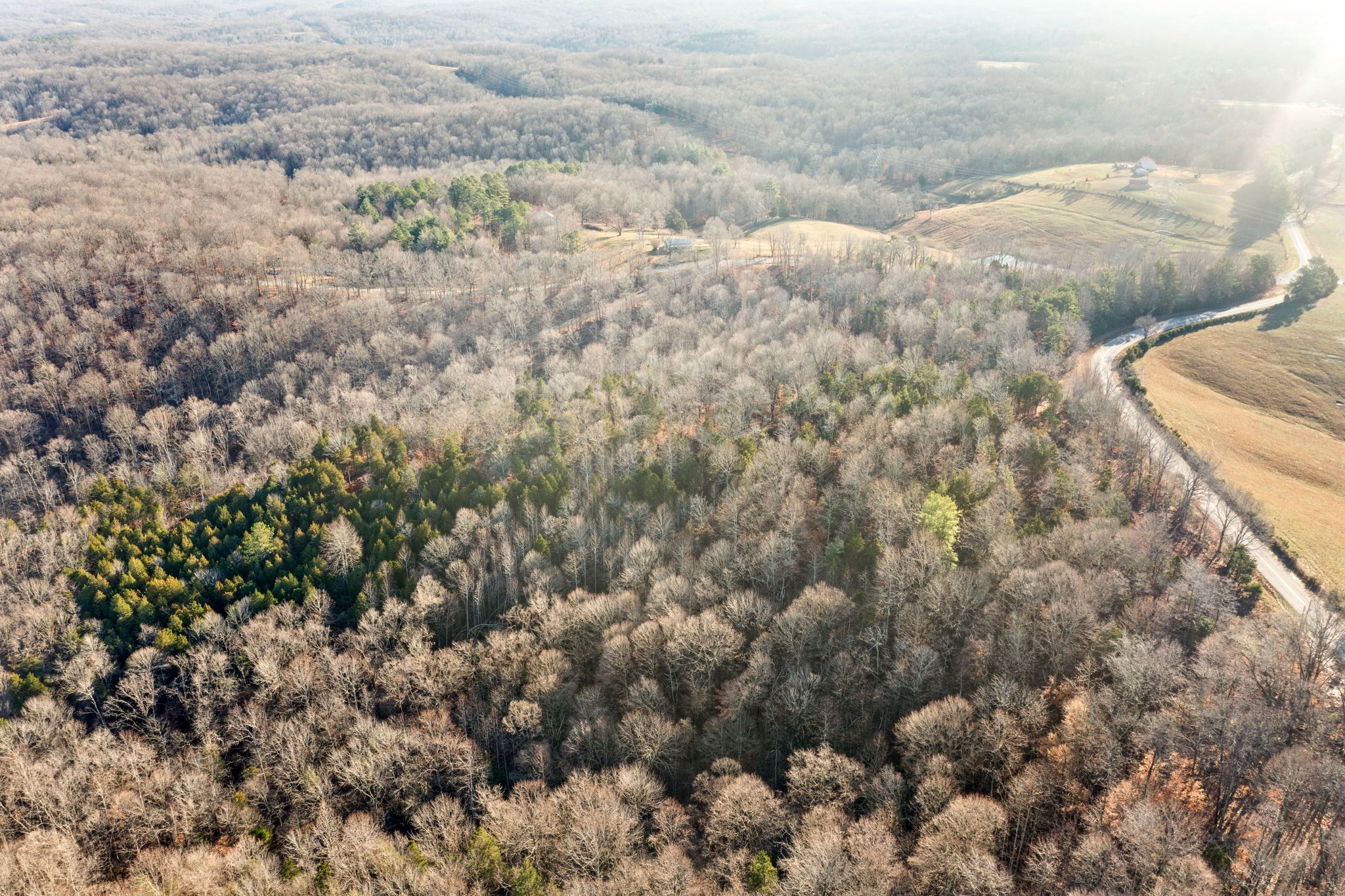 2 Buck Smith Hill Road Palmyra, TN 37142 - Photo 7 of 16 Gallery Image 7
