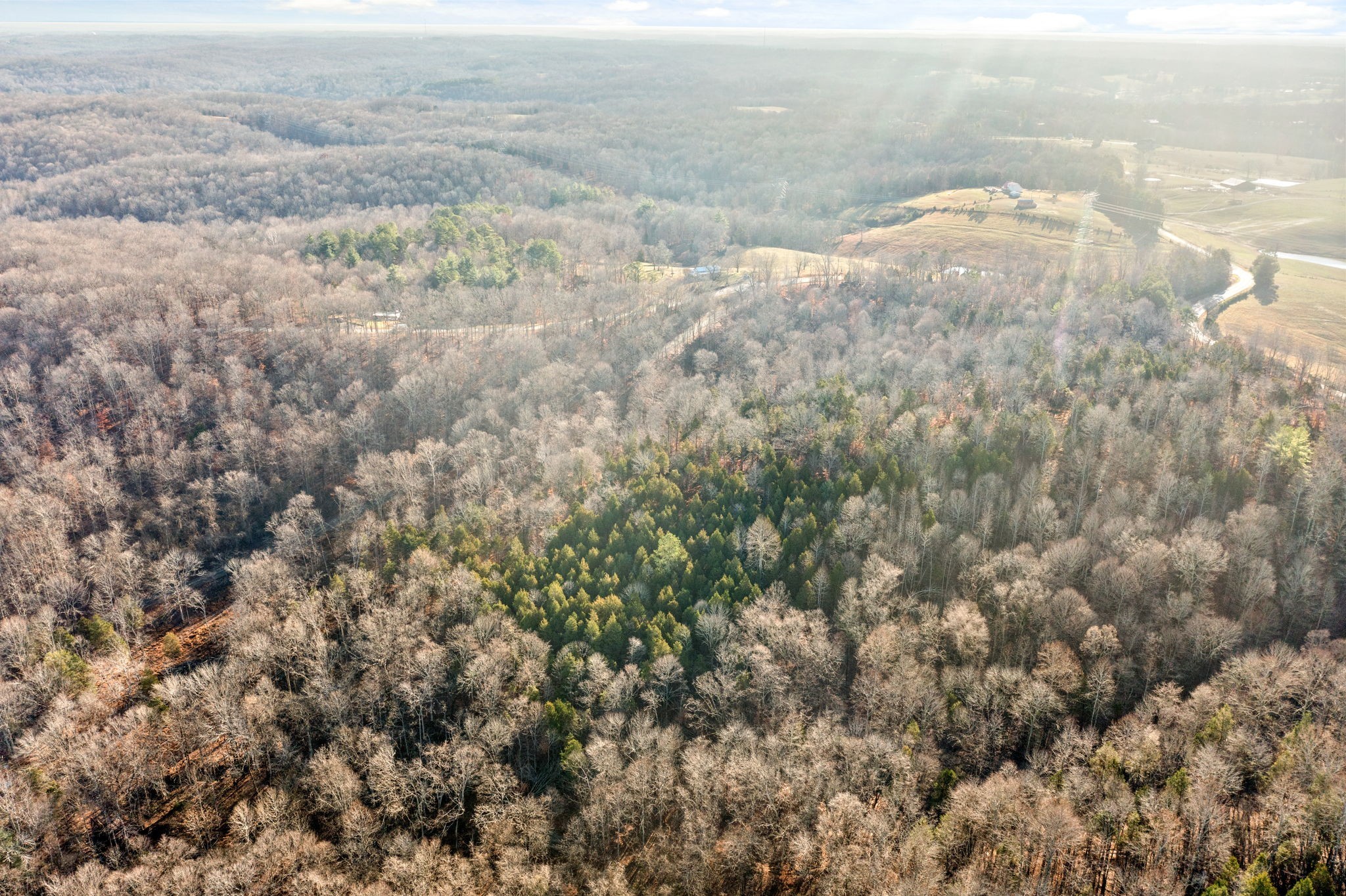 2 Buck Smith Hill Road Palmyra, TN 37142 - Photo 8 of 16 Gallery Image 8