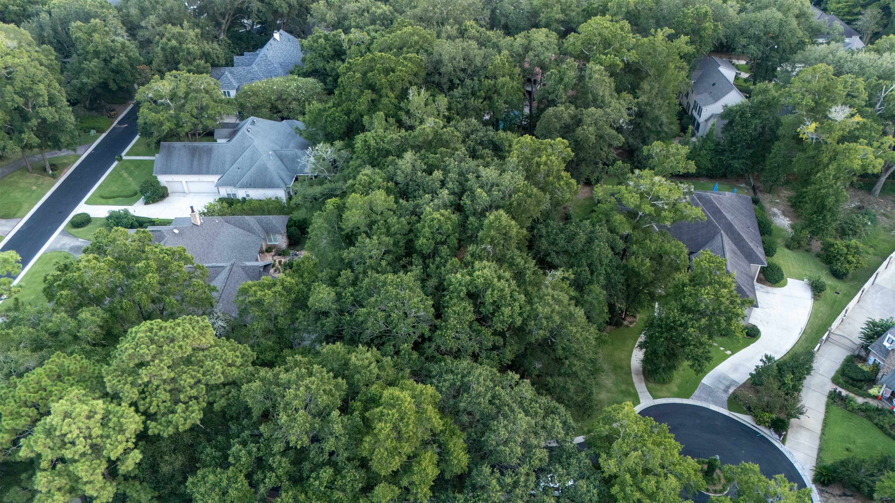 17455 Stillwood Lane Fairhope, AL 36532 - Photo 8 of 21 Aerial View
