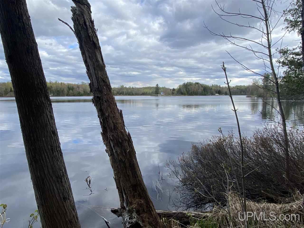 On On Chaney Cove Road, Unit LOT 1 Bessemer, MI 49911 - Photo 3 of 28
