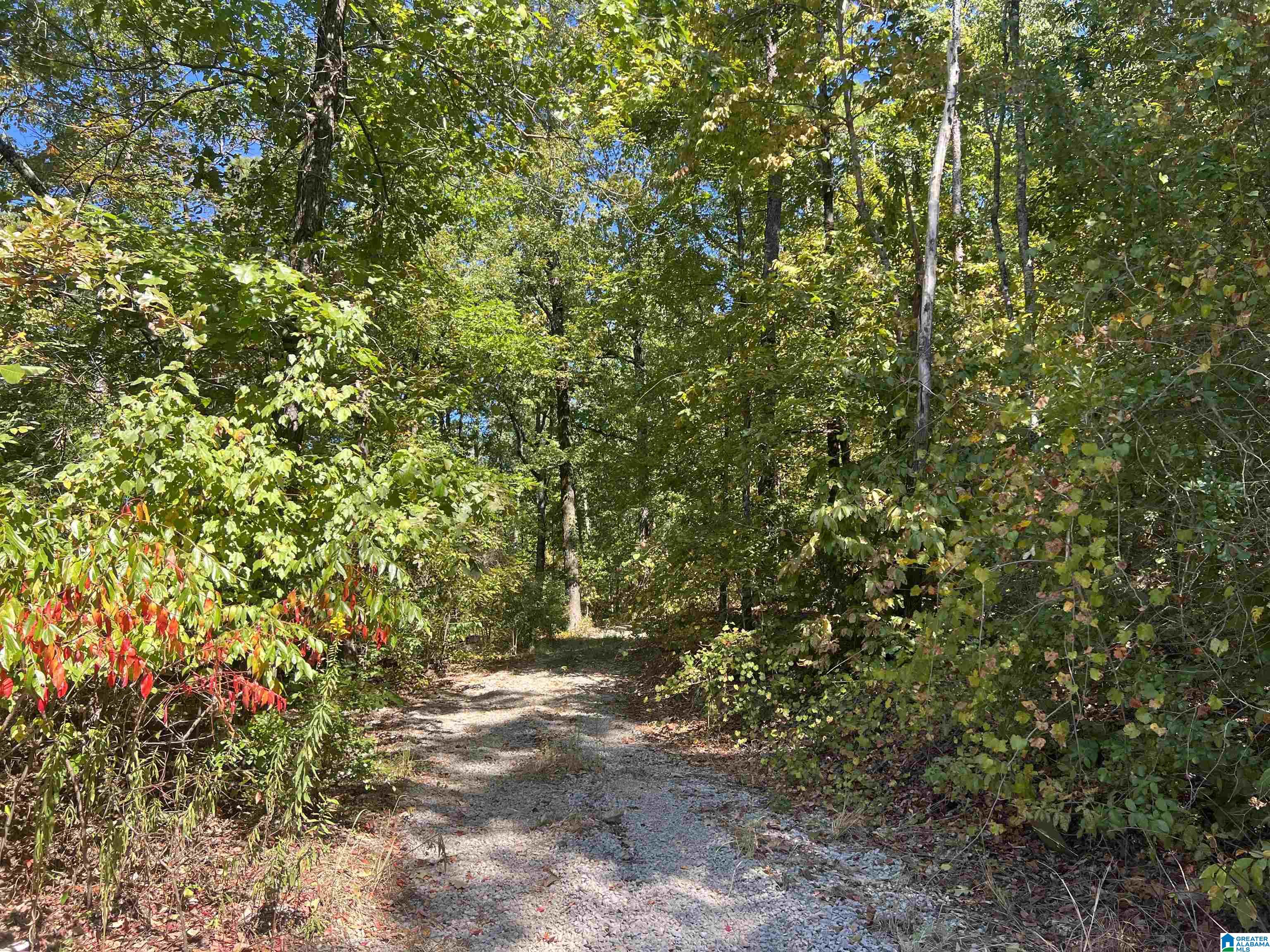 1028 Long Leaf Lake Drive, Unit 1 Bessemer, AL 35022 - Photo 3 of 6