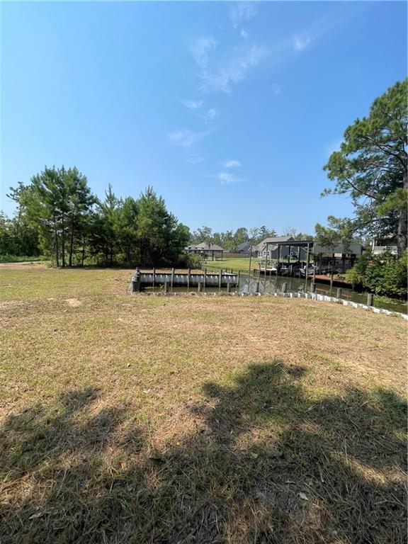 0 Swamp Road Springfield, LA 70462 - Photo 2 of 8