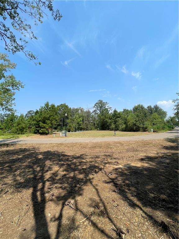 0 Swamp Road Springfield, LA 70462 - Photo 5 of 8