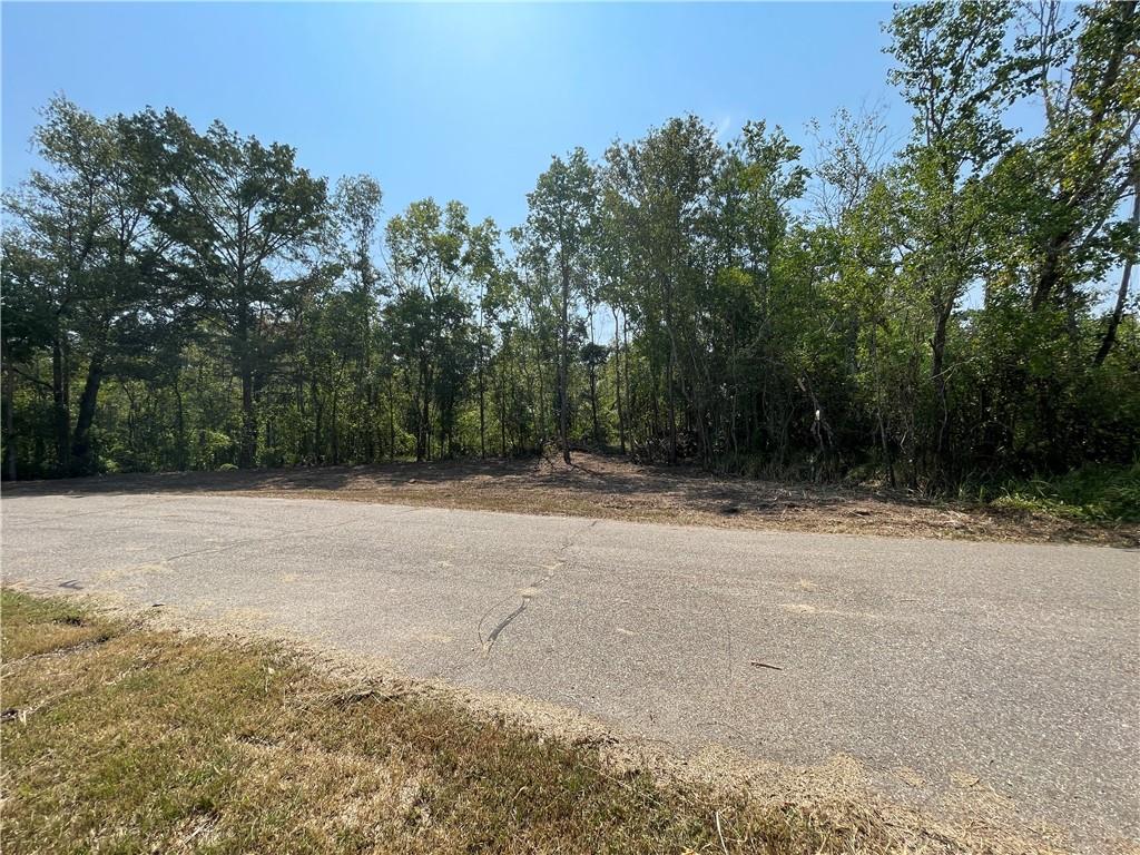 0 Swamp Road Springfield, LA 70462 - Photo 6 of 8