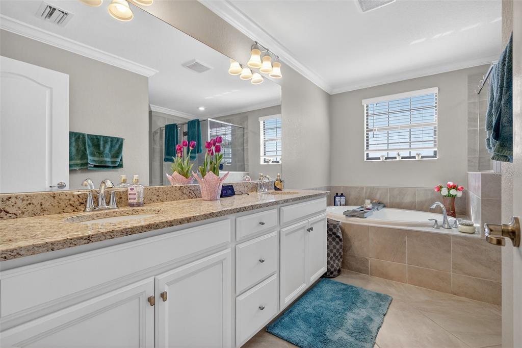 17619 Blue Rdg Place Bradenton, FL 34211 - Photo 42 of 98 a bathroom with a granite countertop double vanity sink a large mirror a bathtub and window