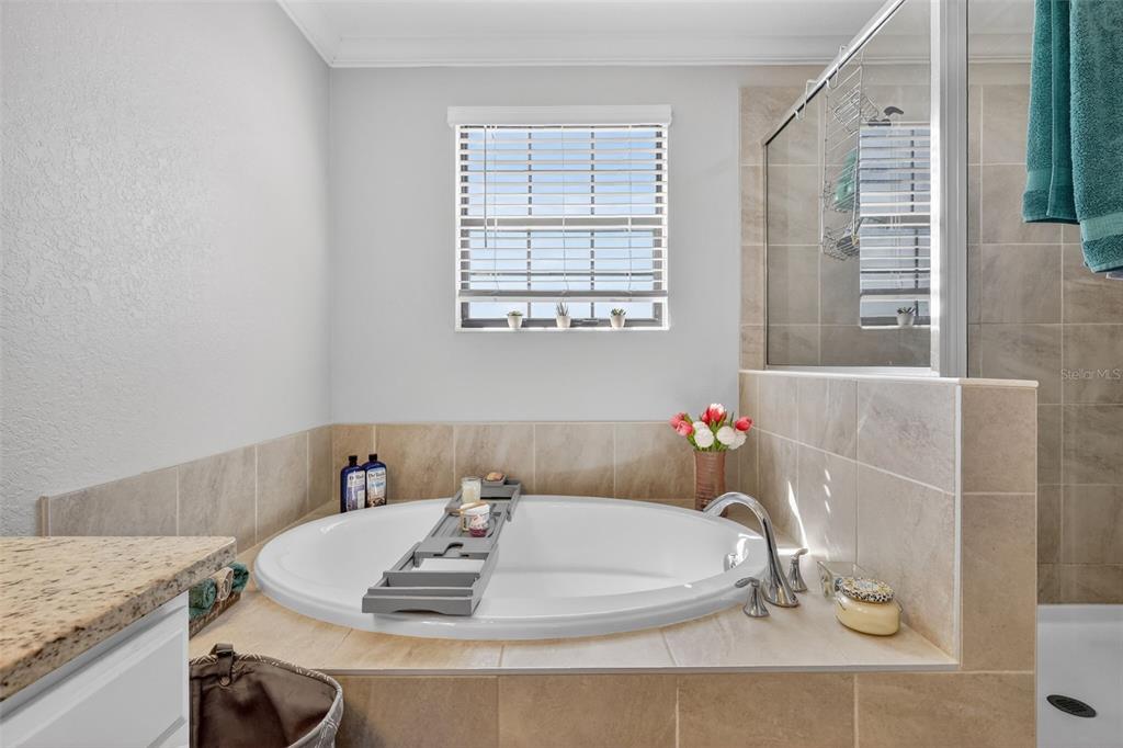 17619 Blue Rdg Place Bradenton, FL 34211 - Photo 43 of 98 a bathroom with a granite countertop sink and a mirror