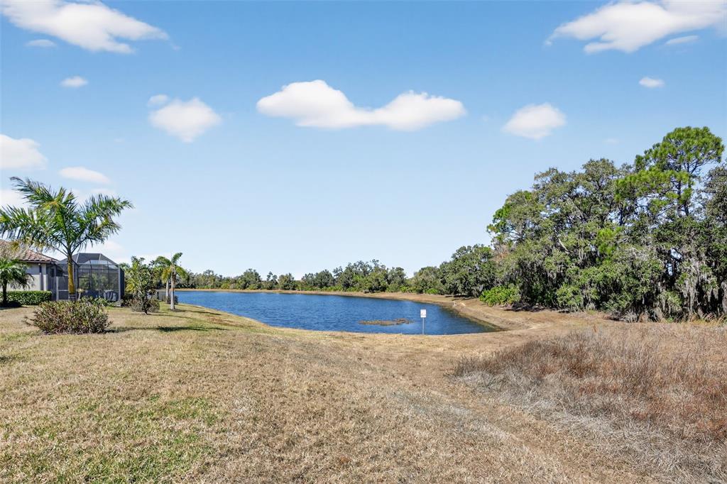 17619 Blue Rdg Place Bradenton, FL 34211 - Photo 58 of 98