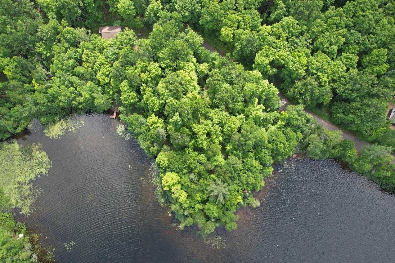 7964 Armour Lake Road Presque Isle, WI 54557 - Photo 2 of 54 Gallery Image 2