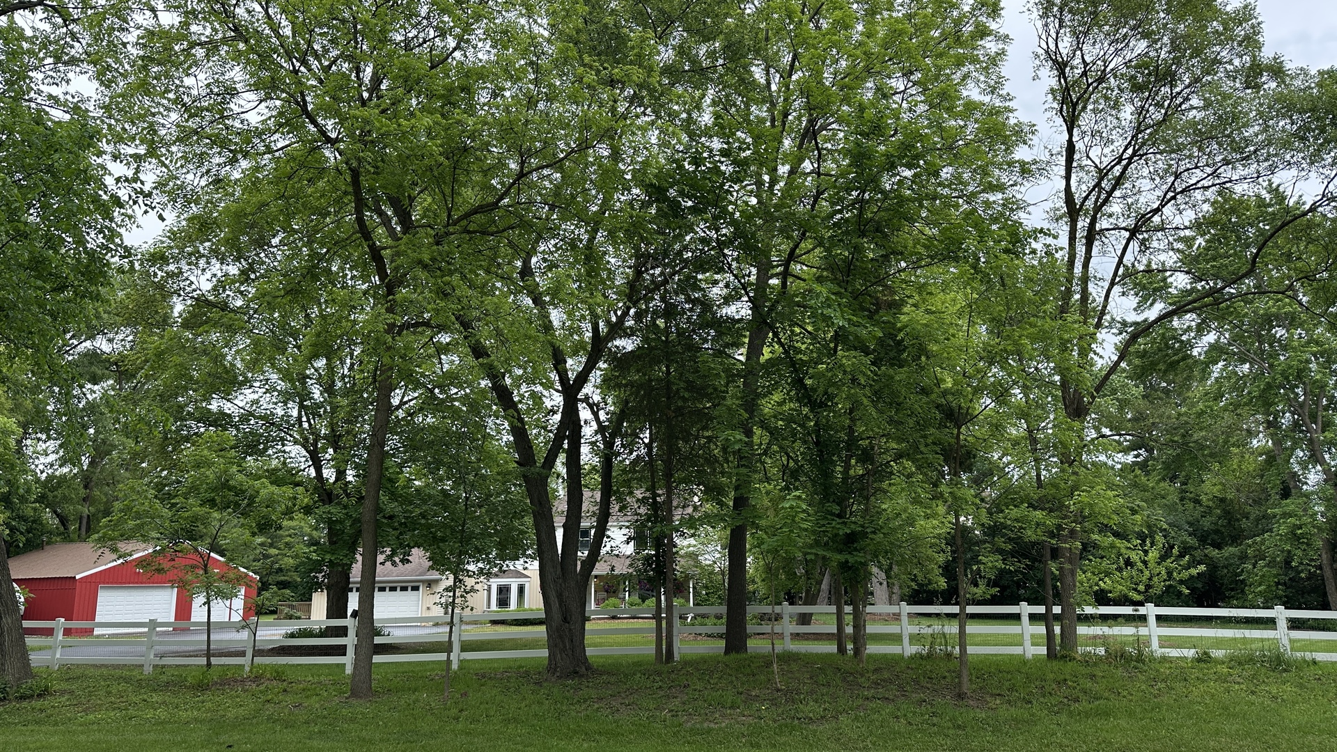 24331 North Kelsey Road Barrington, IL 60010 - Photo 59 of 63