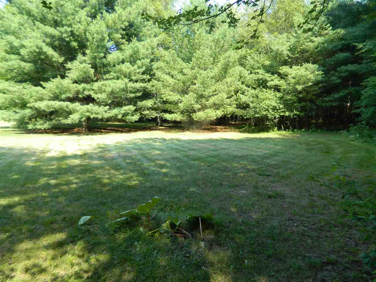 4777 Lalonde Road Standish, MI 48658 - Photo 50 of 53 1890733-50.JPG