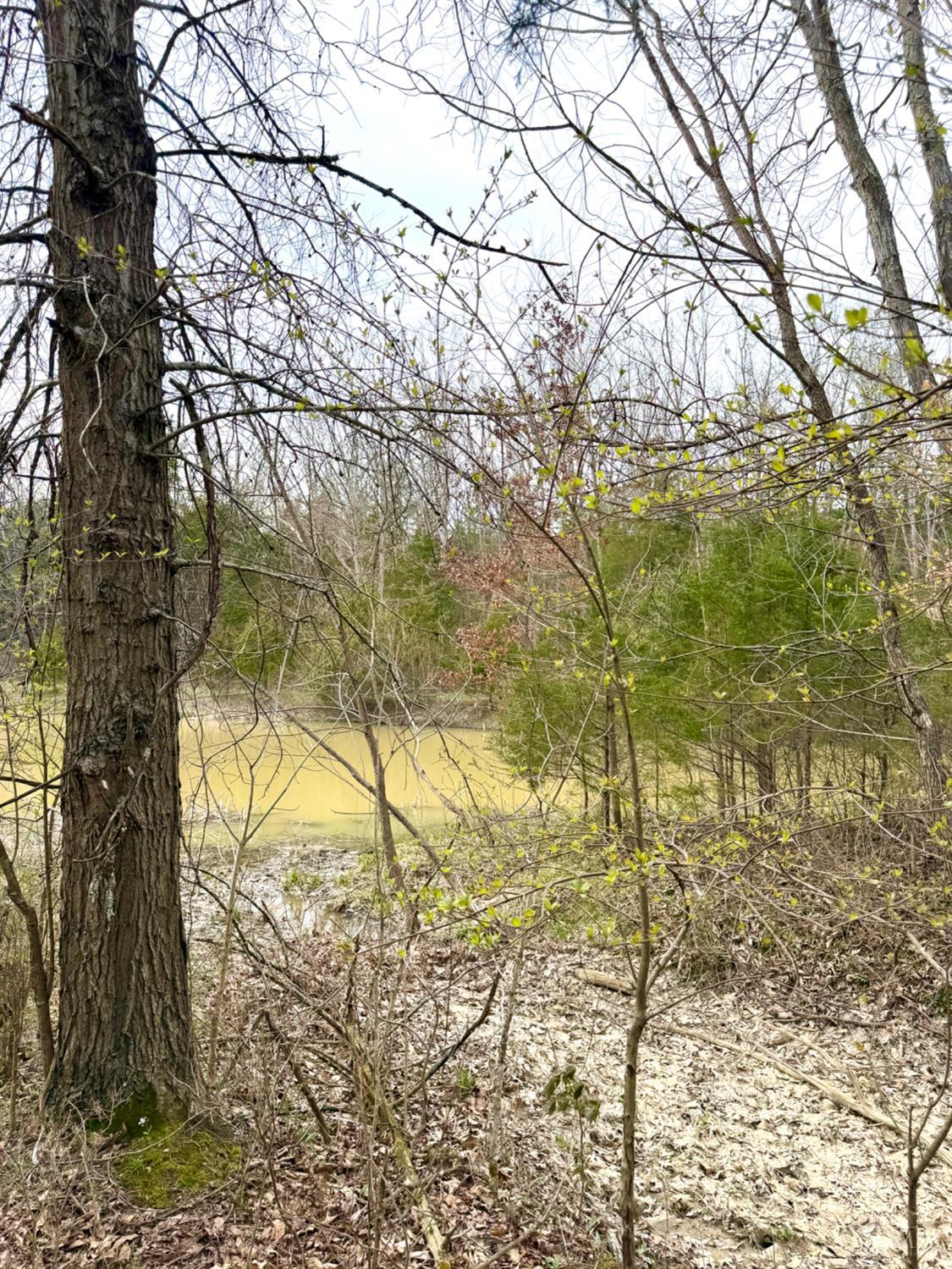 1600 Magee Jones Road Peebles, OH 45660 - Photo 78 of 91