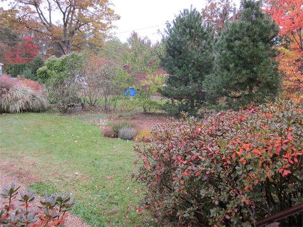 61 Barrows Road Worcester, MA 01609 - Photo 5 of 29 Gallery Image 5
