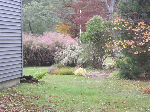61 Barrows Road Worcester, MA 01609 - Photo 8 of 29 Gallery Image 8