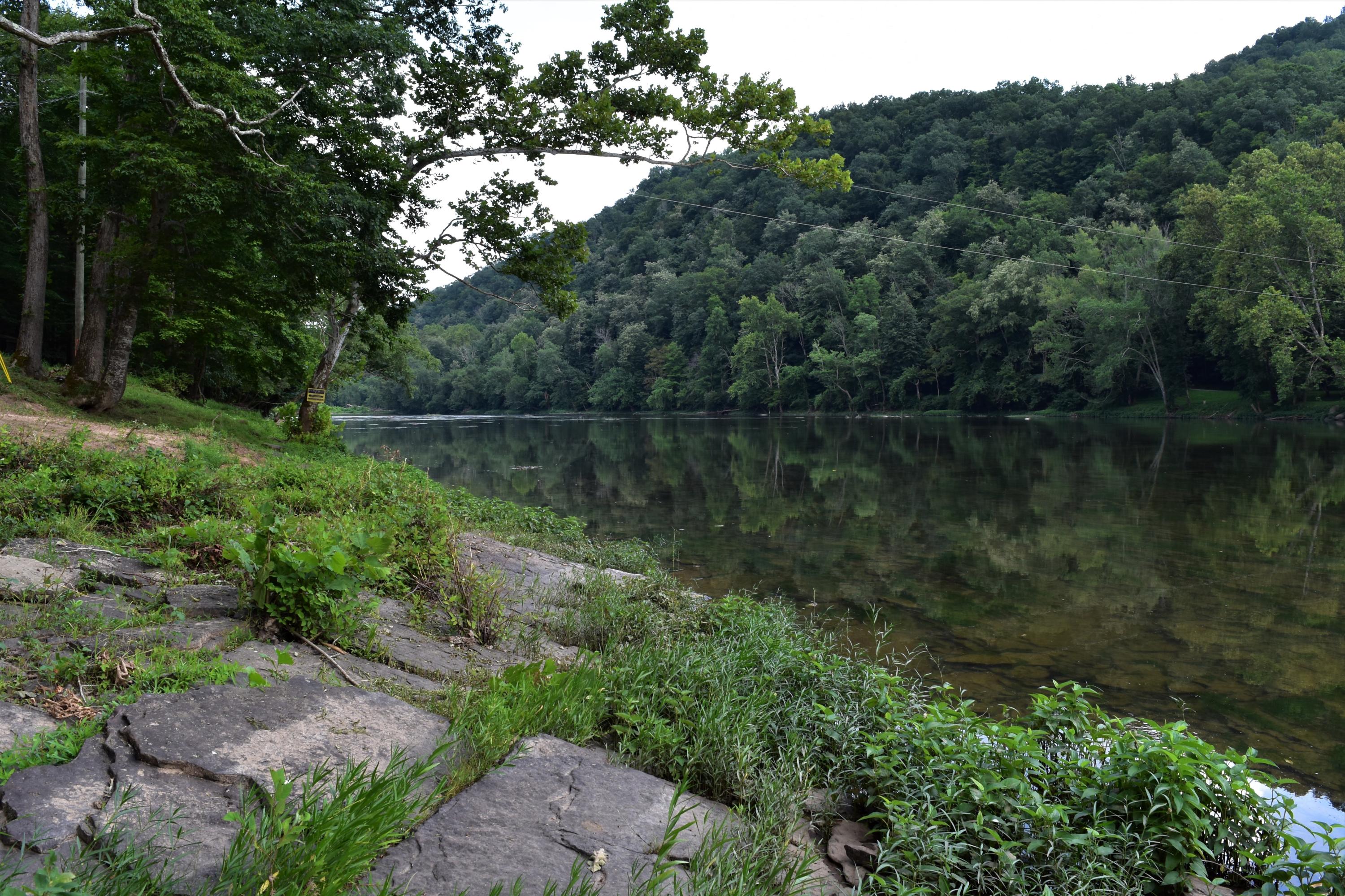 1127 Bacon Falls Road Talcott, WV 24981 - Photo 17 of 66 Gallery Image 17