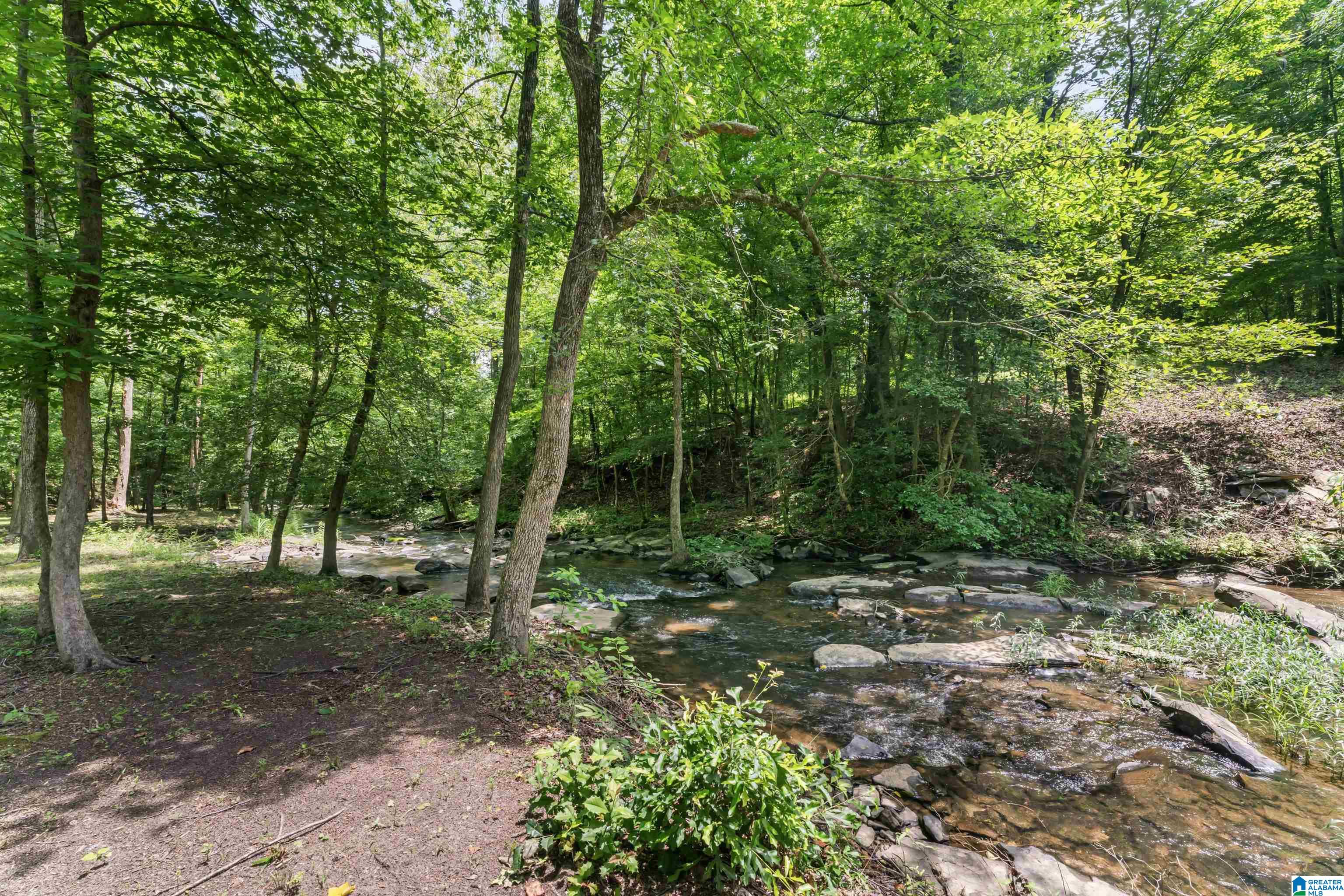65 Winding Stair Trail Leeds, AL 35094 - Photo 41 of 54