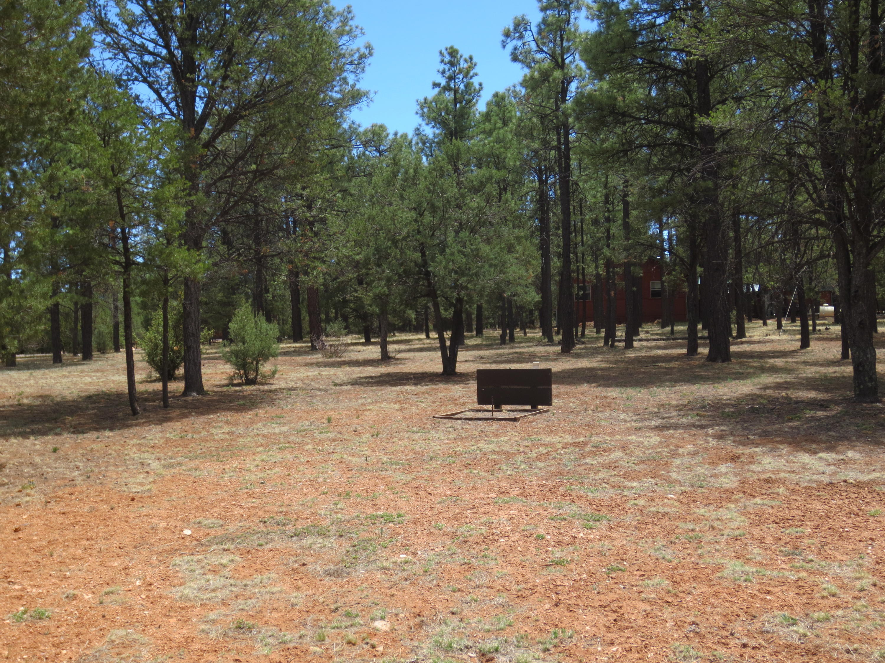 2970 Monica Road Overgaard, AZ 85933 - Photo 12 of 37 a view of park with tree s