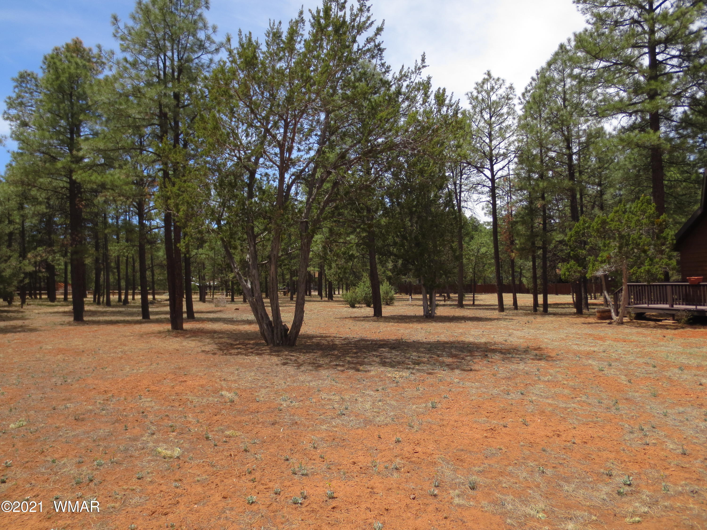 2970 Monica Road Overgaard, AZ 85933 - Photo 7 of 37 a view of road with trees