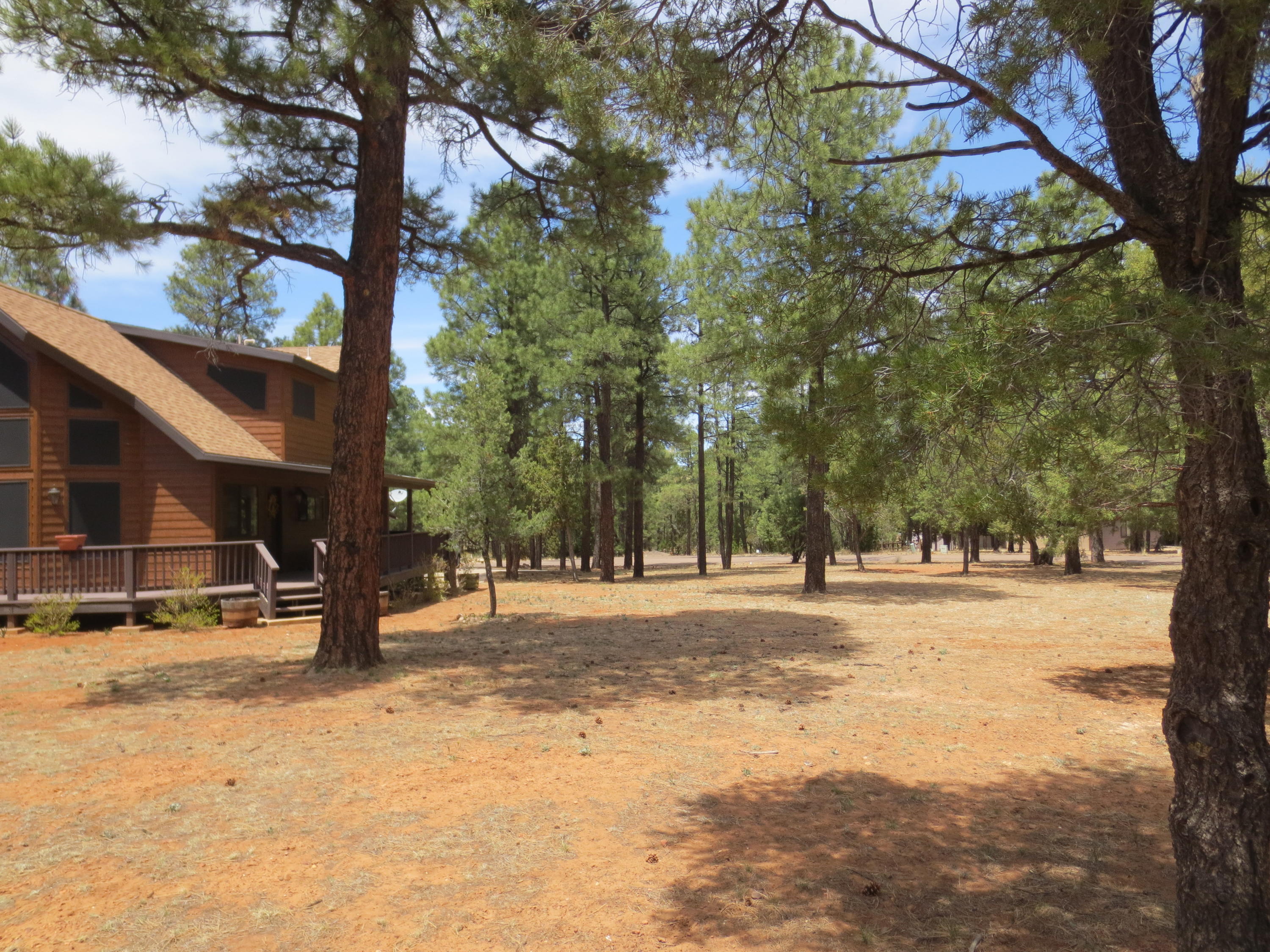 2970 Monica Road Overgaard, AZ 85933 - Photo 8 of 37 a view of a yard with a tree