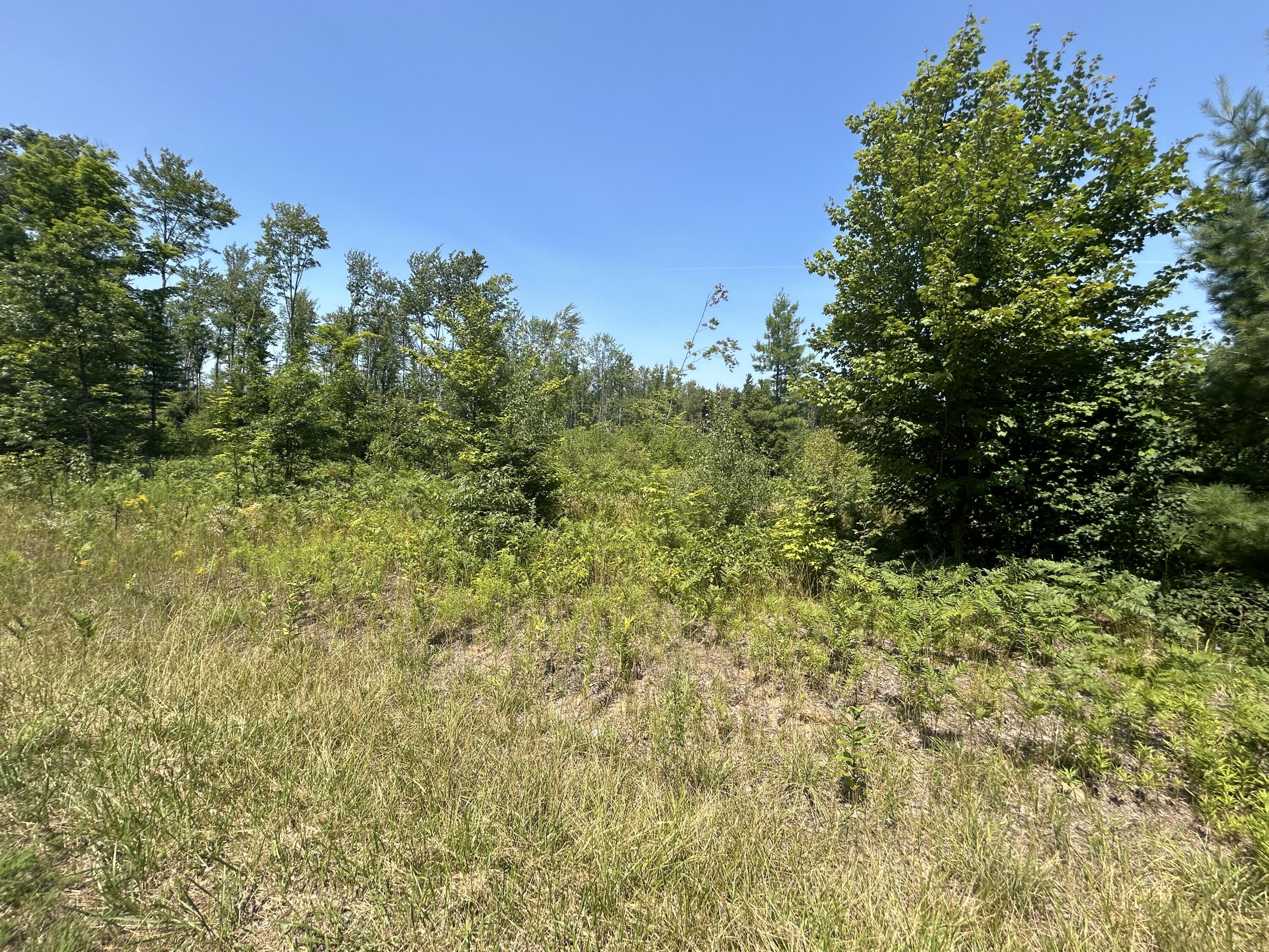Hayes Tower Road Gaylord, MI 49735 - Photo 6 of 15 Gallery Image 6
