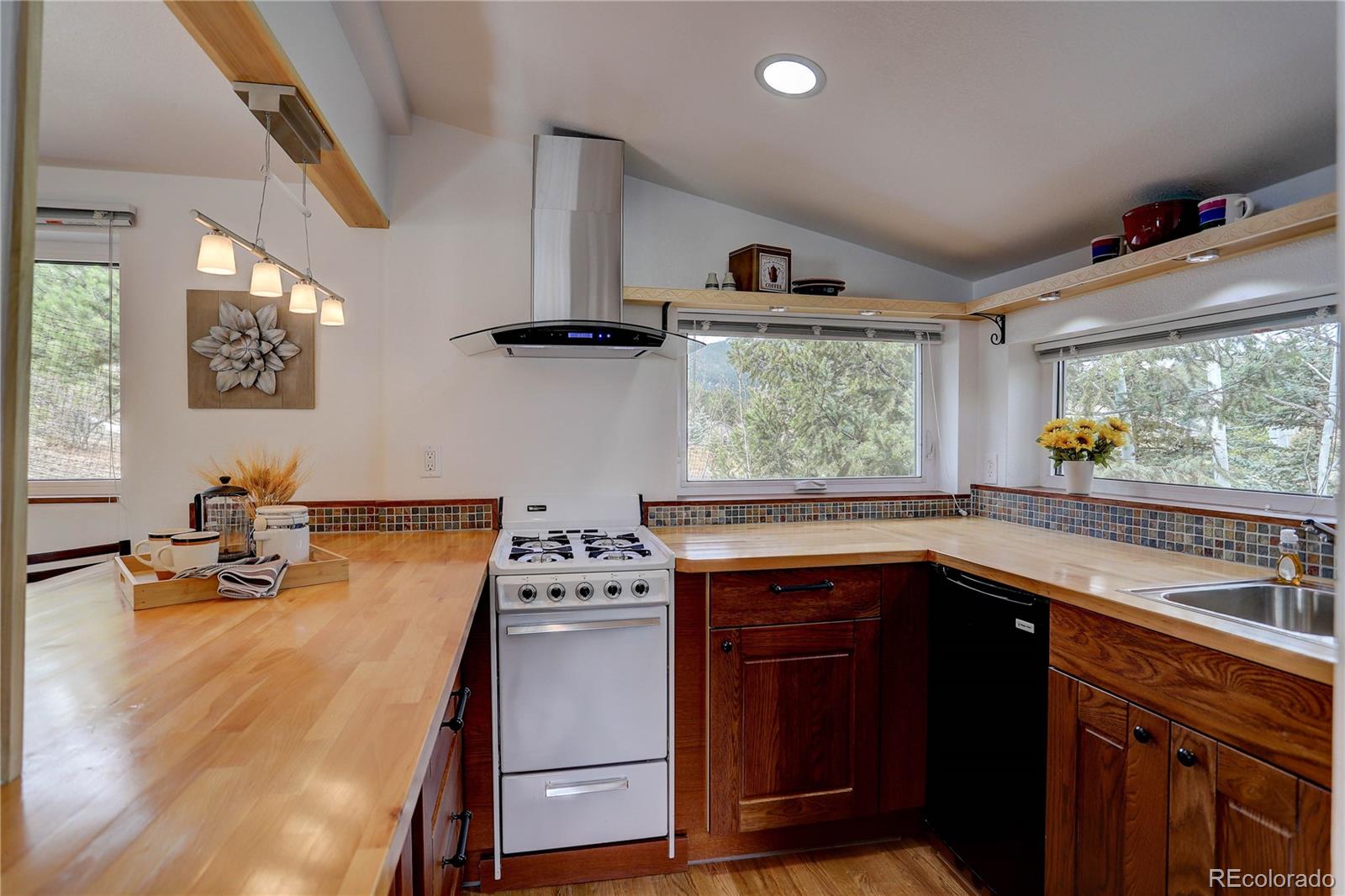 30410 Conifer Road Evergreen, CO 80439 - Photo 35 of 40 Gallery Image 35