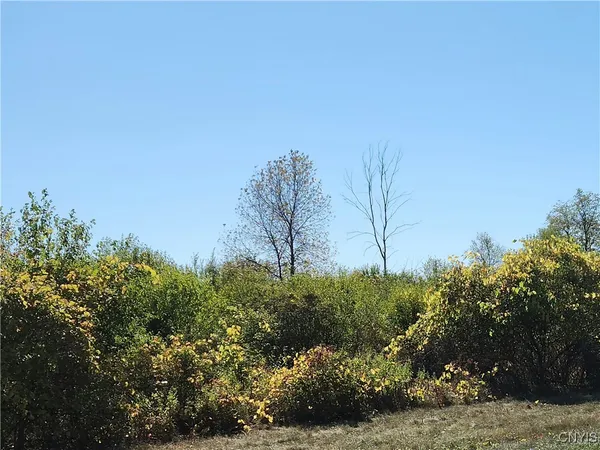$169,900 | 3350 Bedford Corners Road, Cape Vincent, NY 13618