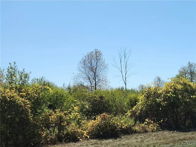 $169,900 | 3350 Bedford Corners Road, Cape Vincent, NY 13618