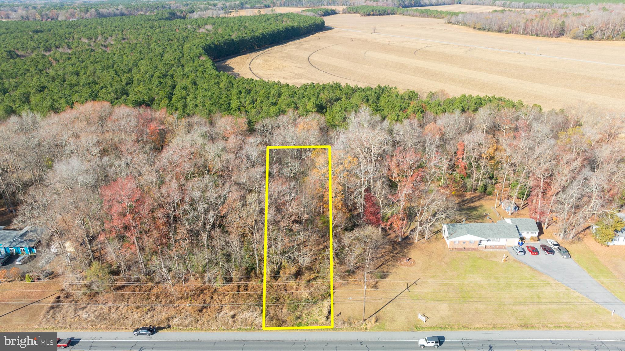 Approximate Lot Boundary