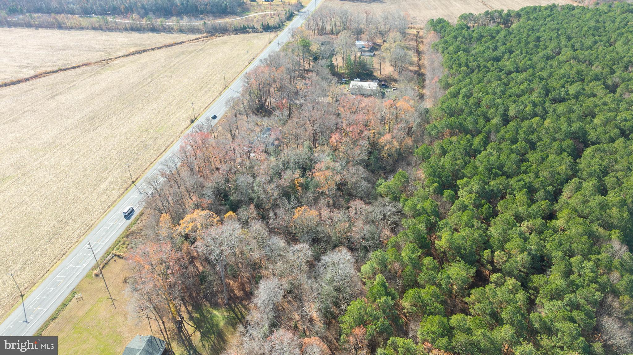 9 Georgetown De 19947 Georgetown, DE 19947 - Photo 3 of 9