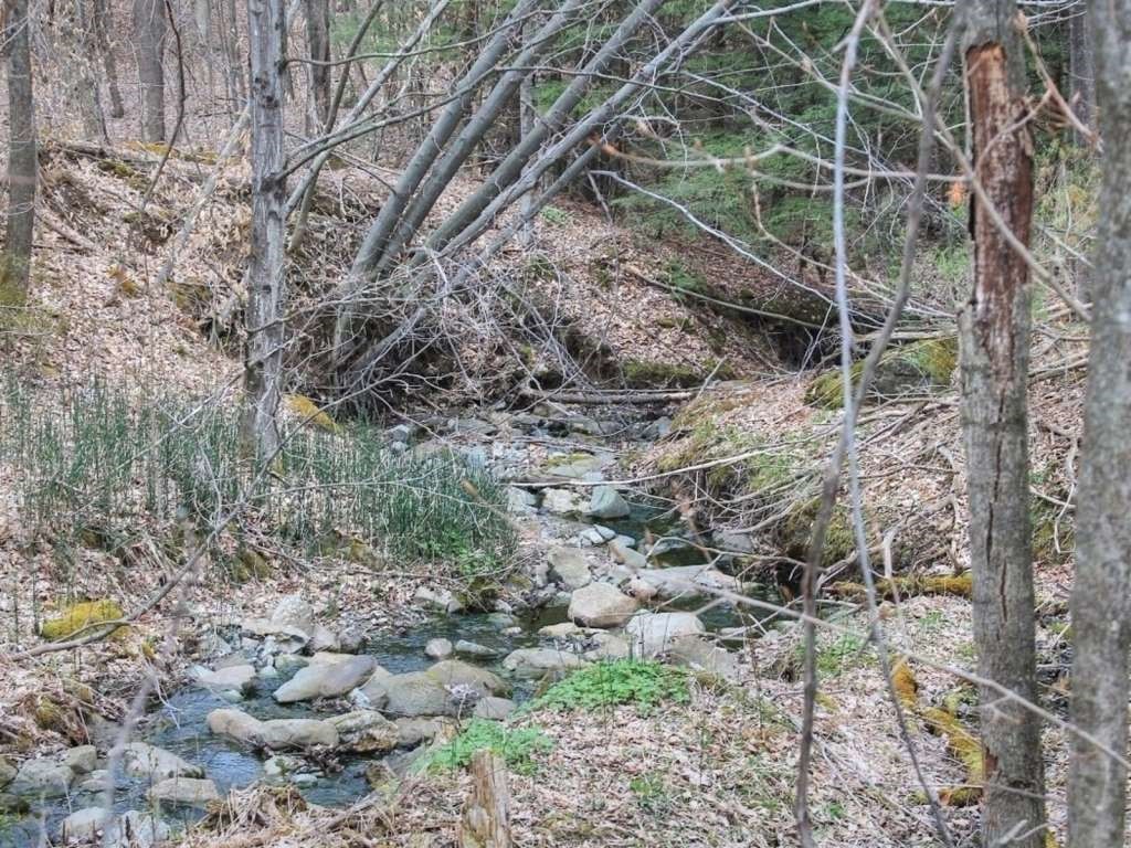 328 Hillview Road Richmond, VT 05477 - Photo 21 of 26 Gallery Image 21