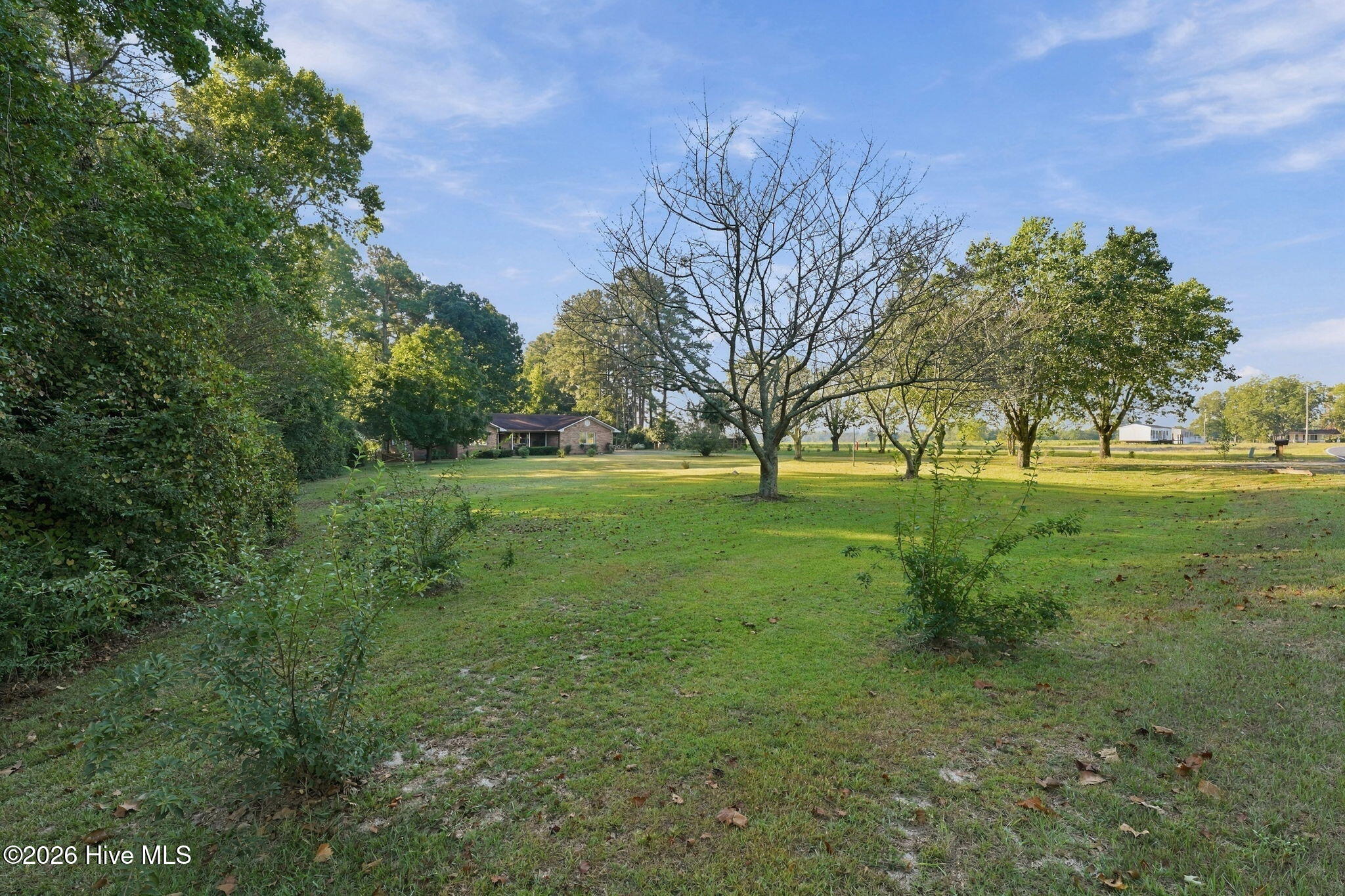 1997 Jenkins Road Fairmont, NC 28340 - Photo 45 of 61 11-web-or-mls-DSC05202
