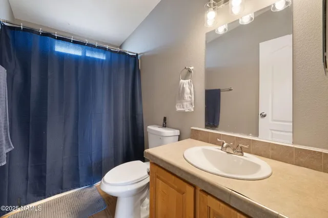 a bathroom with a sink vanity mirror and toilet