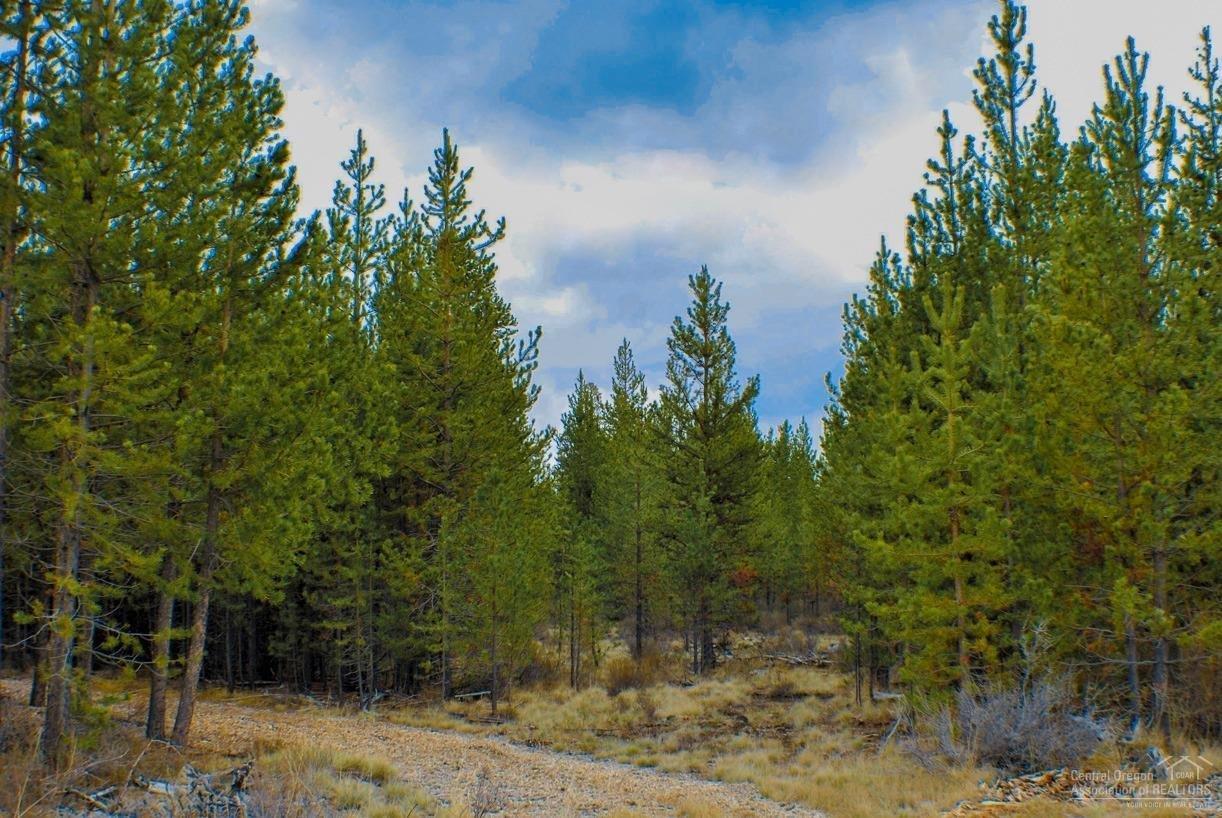 1004 Yoke Road La Pine, OR 97739 - Photo 7 of 23 Widely cleared pathways make the 10 acre