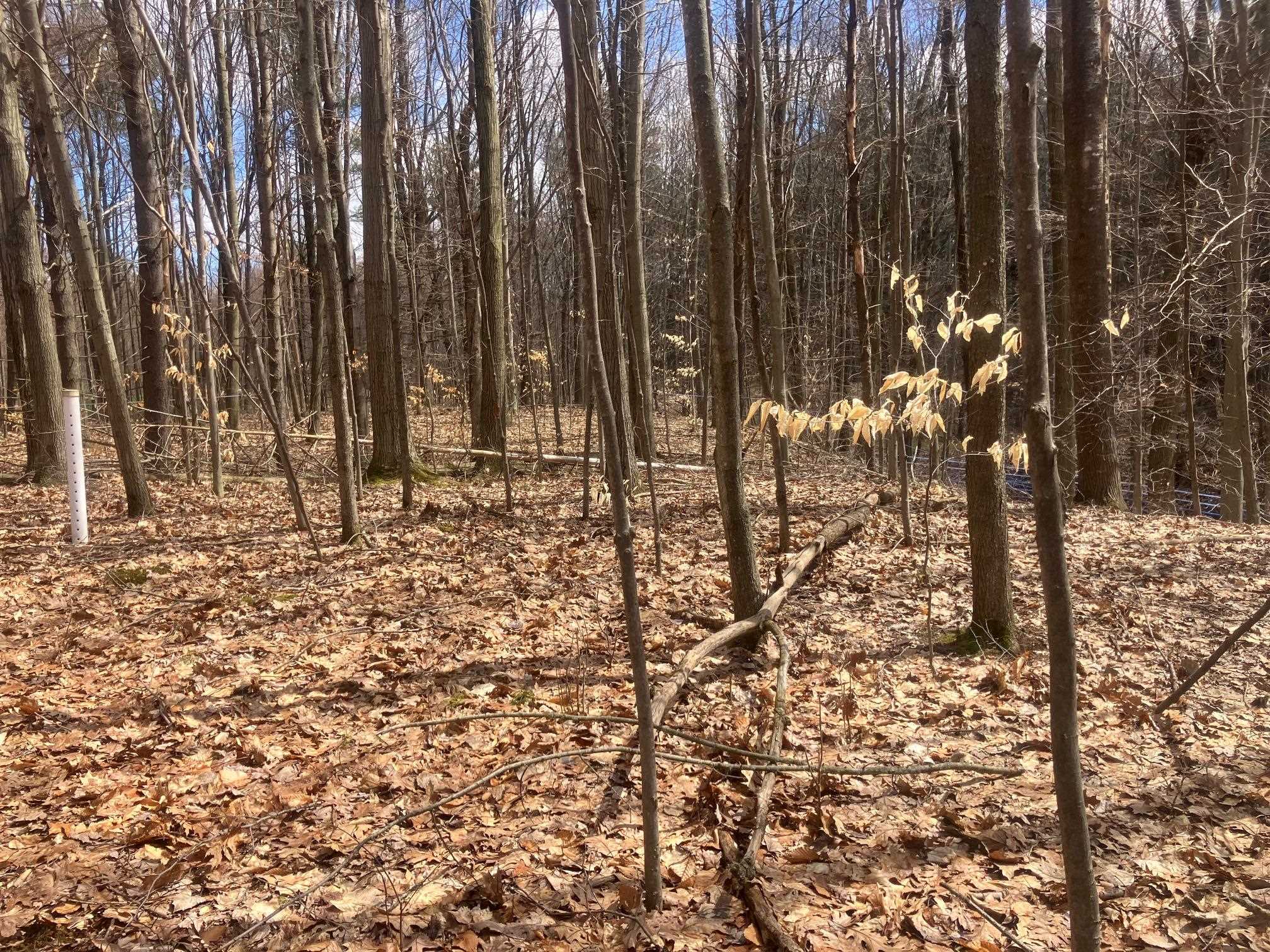 74 Jedware Circle, Unit LOT 102 Swanton, VT 05488 - Photo 7 of 15