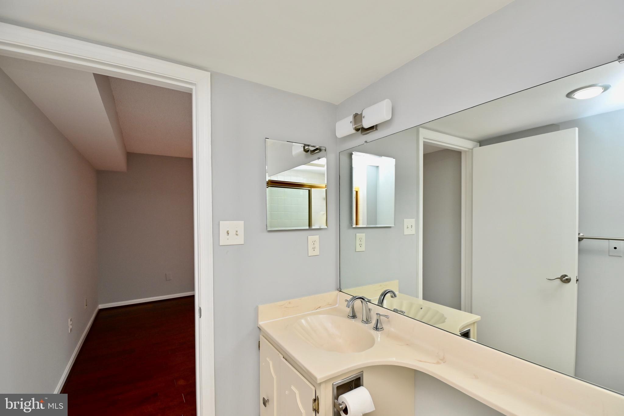1101 South Arlington Ridge Road, Unit 509 Arlington, VA 22202 - Photo 28 of 62 a bathroom with a sink and a mirror