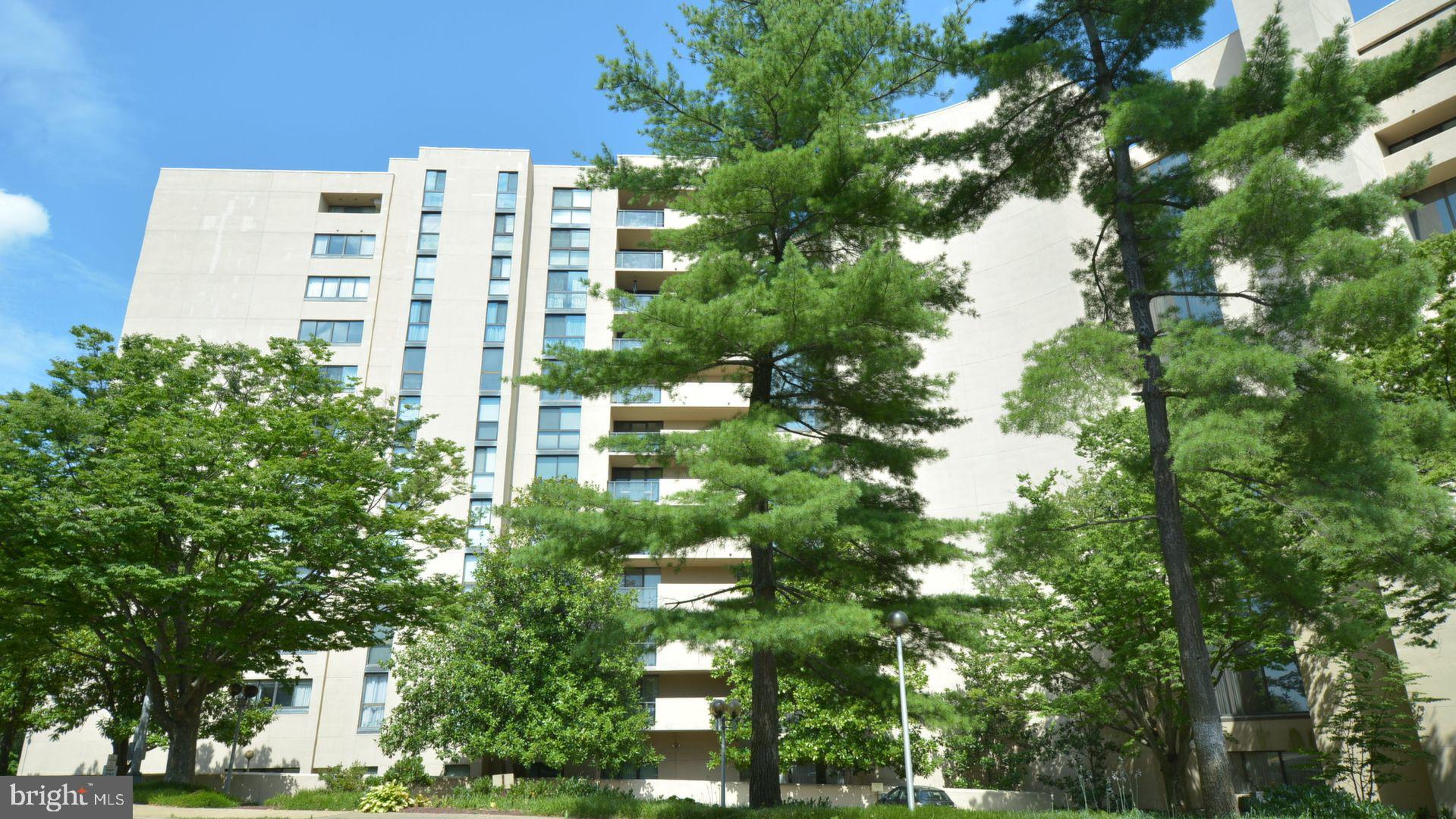 1101 South Arlington Ridge Road, Unit 509 Arlington, VA 22202 - Photo 4 of 62