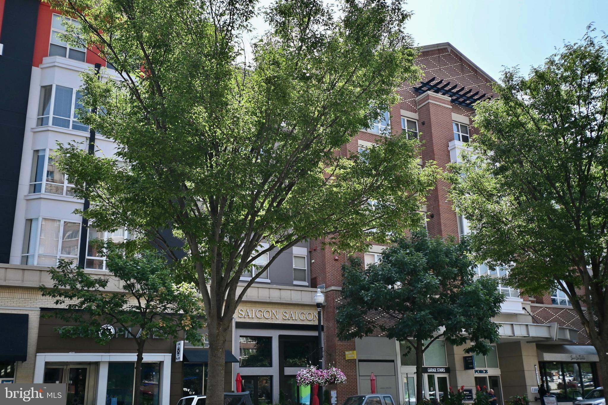 1101 South Arlington Ridge Road, Unit 509 Arlington, VA 22202 - Photo 57 of 62 a house view with a outdoor space