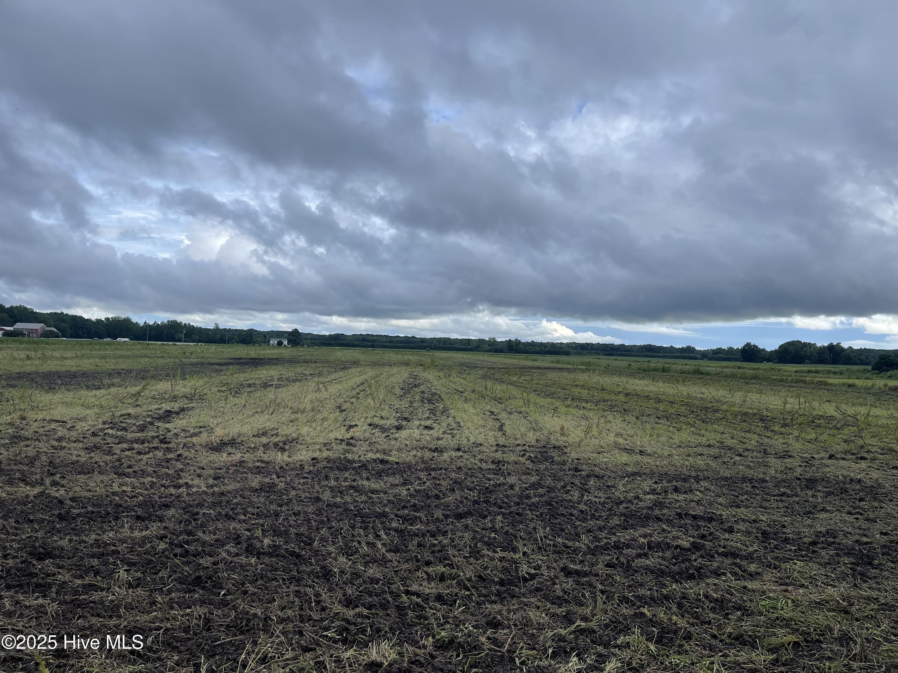 Tbd Ryland Road Tyner, NC 27980 - Photo 2 of 3 IMG_8300