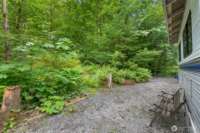 a view of a garden with plants