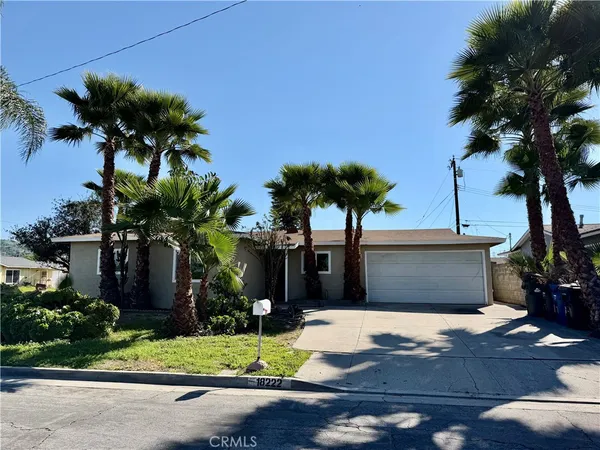 a tree in a house with a garden