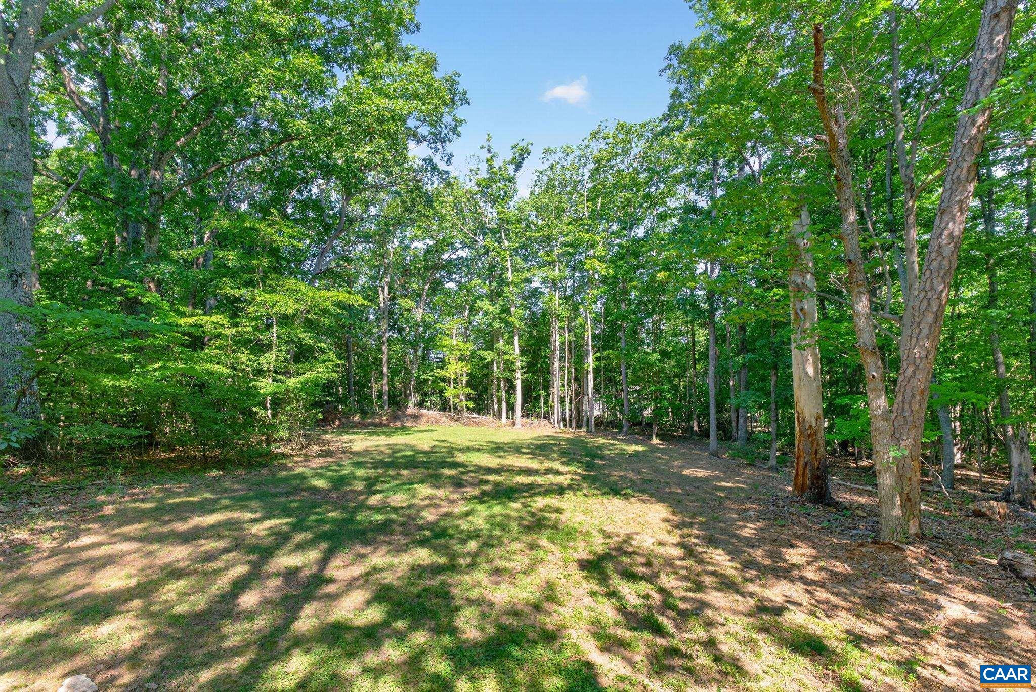 7068 Porters Road Esmont, VA 22937 - Photo 24 of 27