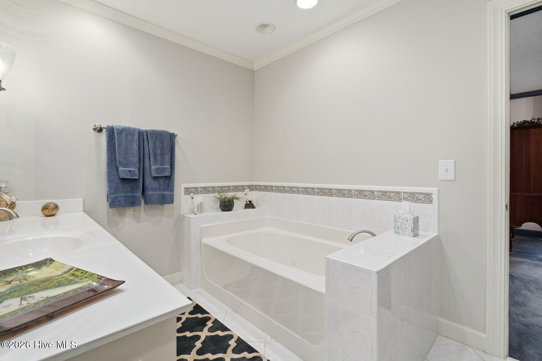 133 Steeple Chase Road Rocky Mount, NC 27804 - Photo 27 of 54 Primary Bathroom