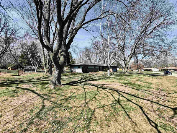 a view of a yard with a tree
