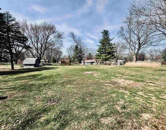 a view of a field with large trees
