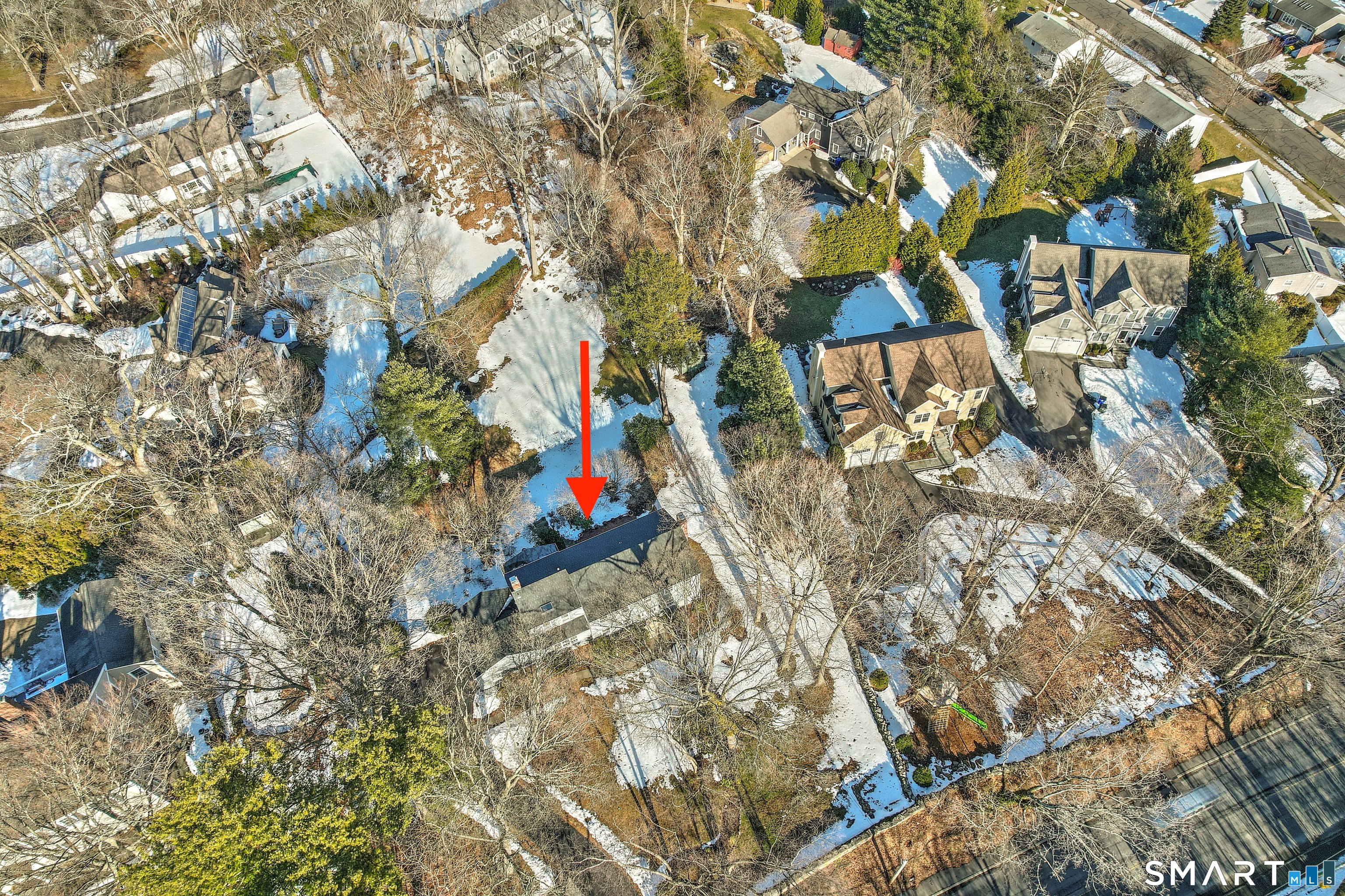 610 Unquowa Road Fairfield, CT 06824 - Photo 7 of 43 a picture of a tree